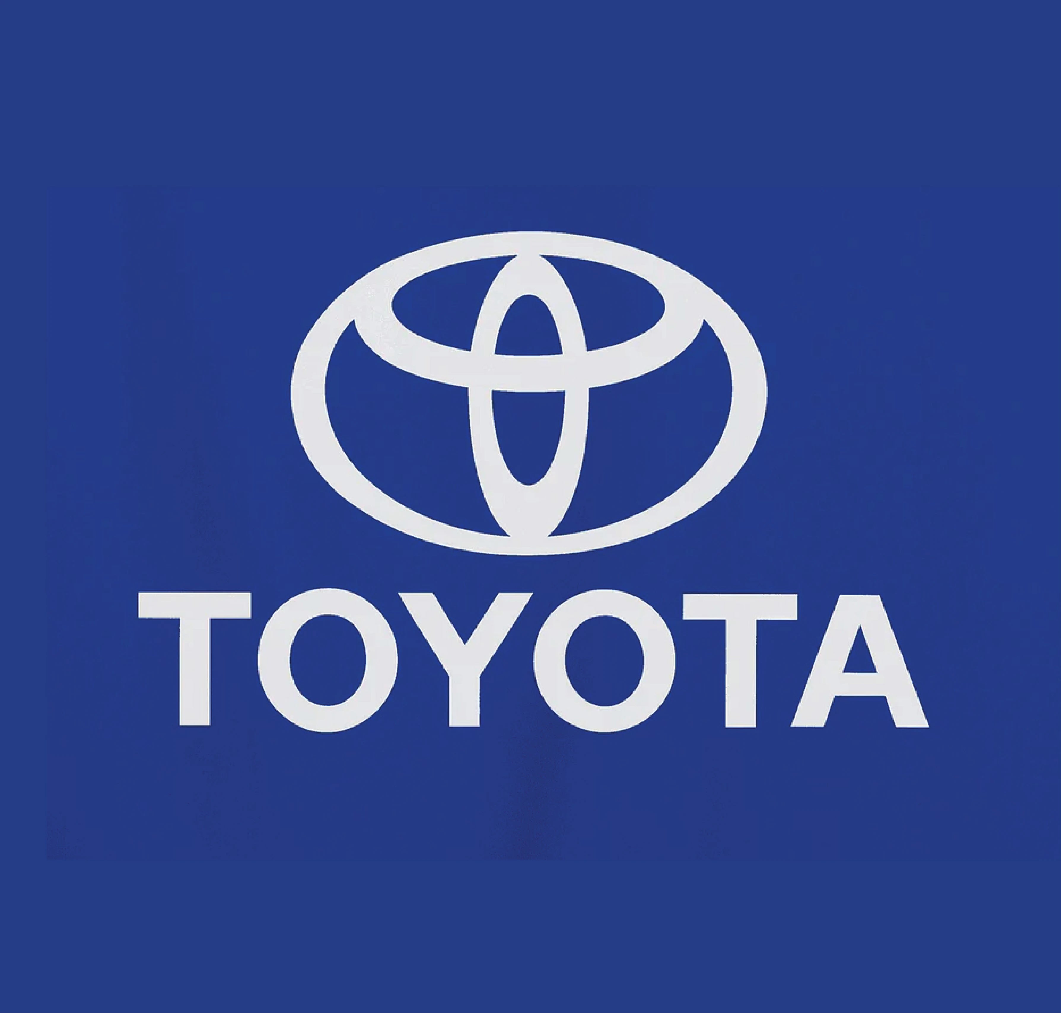 Logo Customization  Build Your Brand Identity